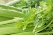 芹菜和什么一起吃好 芹菜有什么营养价值