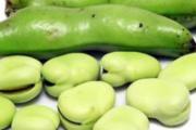蚕豆吃了有什么好处 食用蚕豆需要注意什么