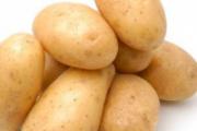 土豆的营养价值