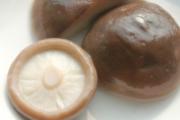 常见食用菌有哪些品种