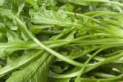 荠菜没焯水吃了要紧吗 荠菜没熟能吃吗