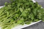 香菜变黑了还能吃吗 香菜属于发物吗