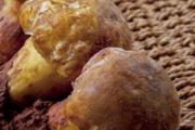 松茸可以冷冻吗 松茸可以冷冻多久