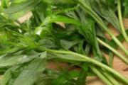 芦蒿的功效与作用