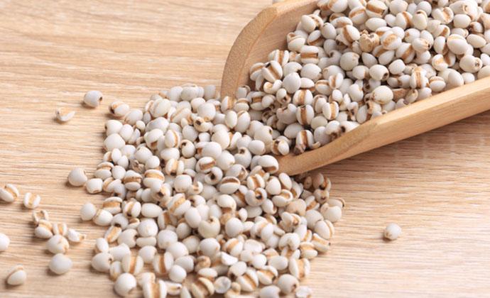 薏米怎么吃最除湿不寒