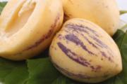 孕妇可以吃人参果吗
