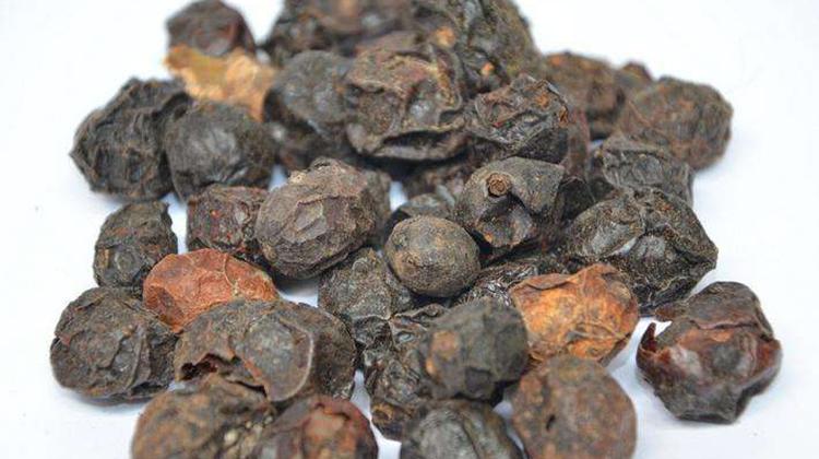 广枣的功效与作用,广枣的营养价值-乐哈健康网