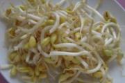 黄豆芽如何保存