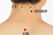 艾灸大椎的好处与功效 艾灸大椎的准确位置图