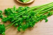 黄瓜和芹菜可以一起吃吗 芹菜的叶子能炒着吃吗