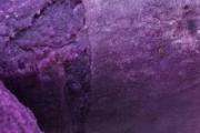 蒸紫薯怎么判断熟不熟 紫薯一般蒸多久能熟