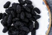 桑葚干的功效与作用 桑葚干怎么吃效果好