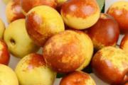 冬枣为什么叫冬枣 早熟冬枣几月份成熟