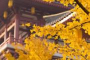 2018年秋分天气还热吗 秋分农民丰收节放假吗