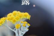 白露节气做什么运动