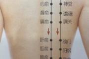 胃仓的准确位置图片 胃仓在左边还是右边