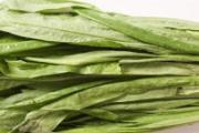 油麦菜洗完后怎么保存 油麦菜可以放冰箱冷藏吗