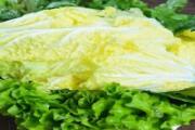 吃白菜可以降火吗 白菜怎么吃降火