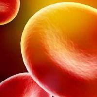 红细胞压积偏低是什么意思,红细胞压积偏低吃