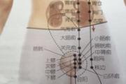 白环俞准确位置图片,白环俞怎么找准