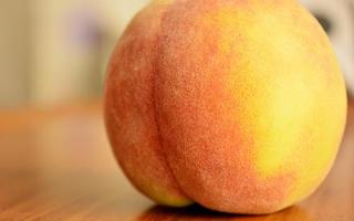 桑葚叶的功效与作用