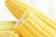 水果玉米和糯玉米哪个减肥效果好 糯玉米吃了会发胖吗