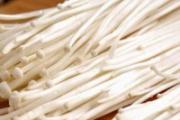 金针菇为什么不能消化 金针菇不消化有营养吗