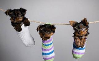 灰指甲的初期症状,灰指甲的早期症状,灰指甲的