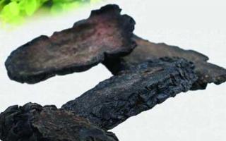 孕妇可以吃蓝莓干吗