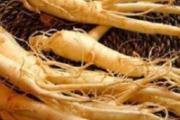 人参不能与什么同食 吃人参不能吃什么