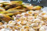 蛤蜊对人体有什么好处 蛤蜊怎么做好吃又简单