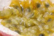 百香果泡蜂蜜出现白色物质怎么办 蜂蜜泡百香果能放多久