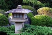 雨水节气调神养生