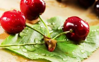 黄瓜不能和芹菜一起吃