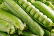 豌豆和黄豆的区别 什么人不能吃豌豆