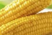 子宫肌瘤不能吃什么食物 这些食物得记清楚