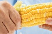 鲜玉米煮多长时间能熟 鲜玉米可以直接冷冻保存吗