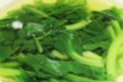 苦菜哺乳期可以吃吗哺乳期吃苦菜会回奶吗