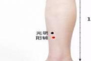 阳辅的准确位置图和作用 阳辅的准确位置图