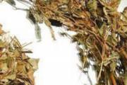 鱼腥草和甘草能一起泡水喝吗 鱼腥草甘草水的作用
