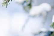 冬至以后是白天长还是晚上长 冬至是一年中最冷的一天吗