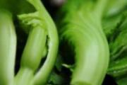 芥菜的营养价值及食用禁忌