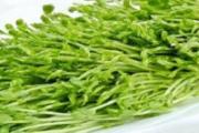 豌豆发芽能吃吗 豌豆发芽怎么做着吃