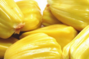 菠萝蜜的核怎么吃好吃 菠萝蜜太多了怎么保存