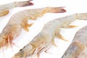 吃基围虾可以喝白酒吗 吃基围虾喝多少白酒合适
