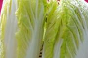 大白菜的营养价值 大白菜搭配其他食材的功效