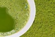 绿豆面膜补水吗