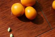 小金桔的功效与作用