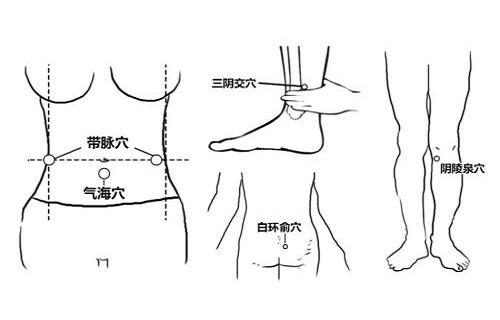 皮肤-皮下组织-臀大肌-骶结节3白环俞穴位层次解剖科学定位:在骶部,横