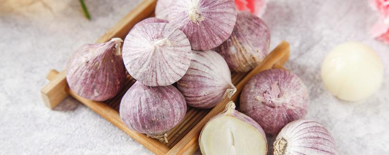 大蒜冰糖水的禁忌